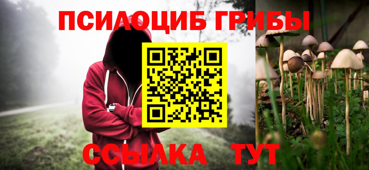 Волхов  Псилоцибиновые грибы прущие грибы  даркнет сайт  Вход с VPN 