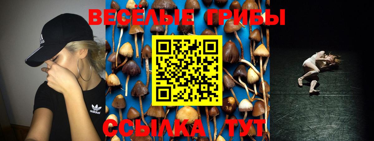 Галлюциногенные грибы GOLDEN TEACHER Волхов